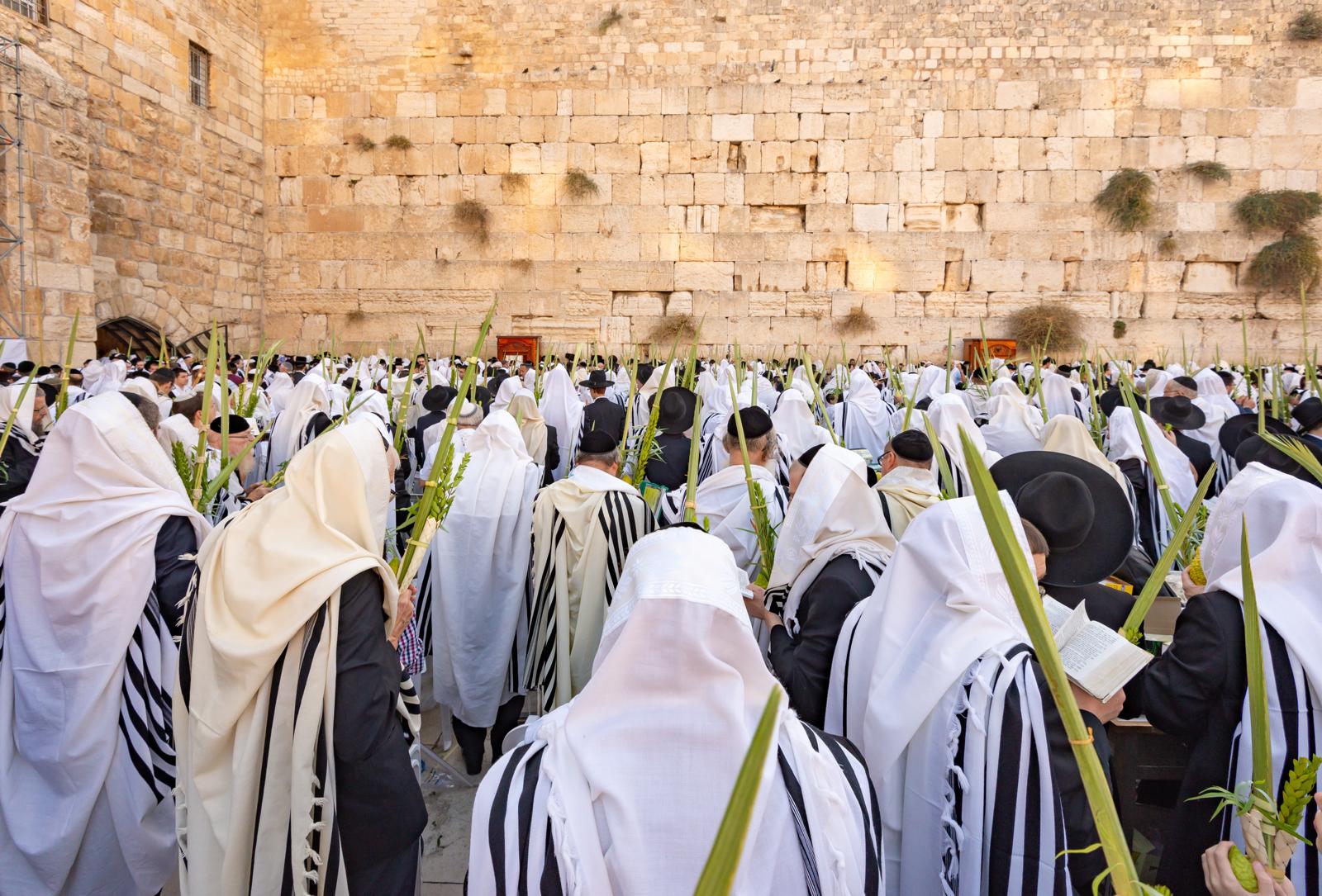 Kotel Shaking Lulav and Etrog - Sukkah Wall Mural "Premium Vinyl"