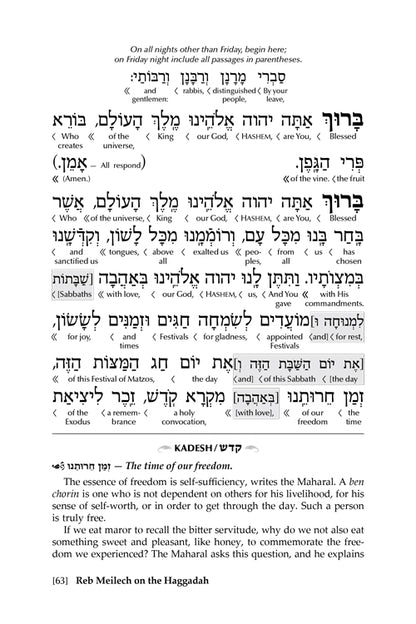 Reb Meilech on the Haggadah