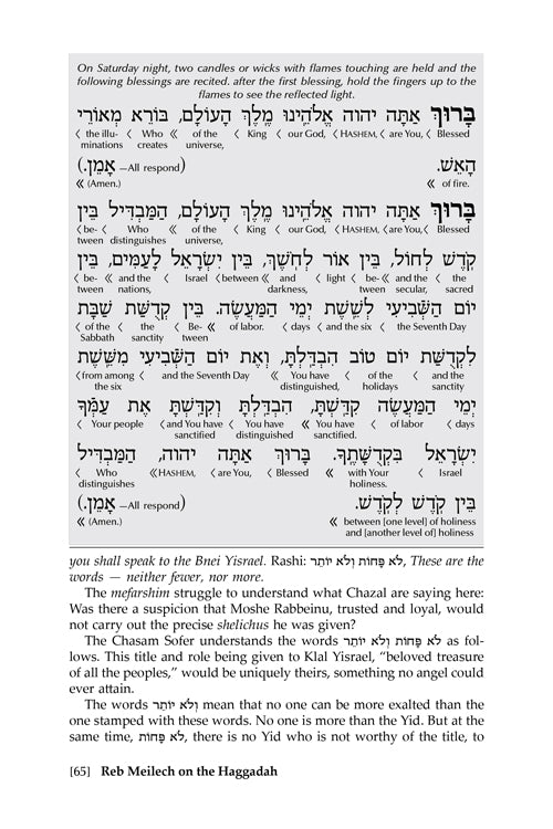 Reb Meilech on the Haggadah