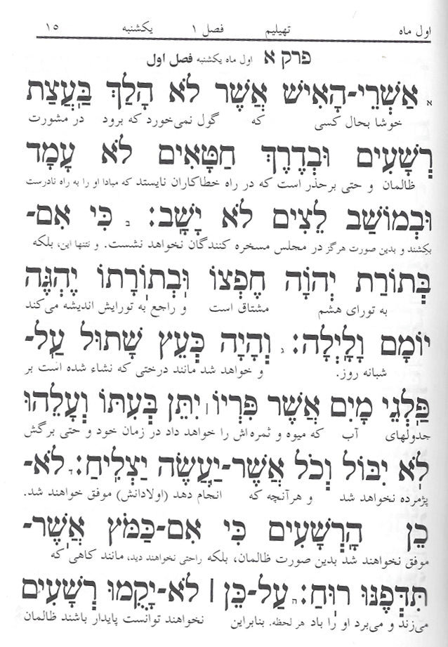 Iranian Tehillim - Tehillim Yossef Tehillah in Persian - Mitzvahland.com