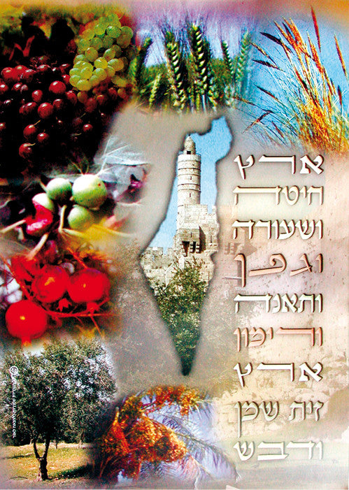 Laminated Poster -  Shivat Haminim