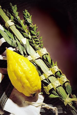 Lulav and Etrog Israeli