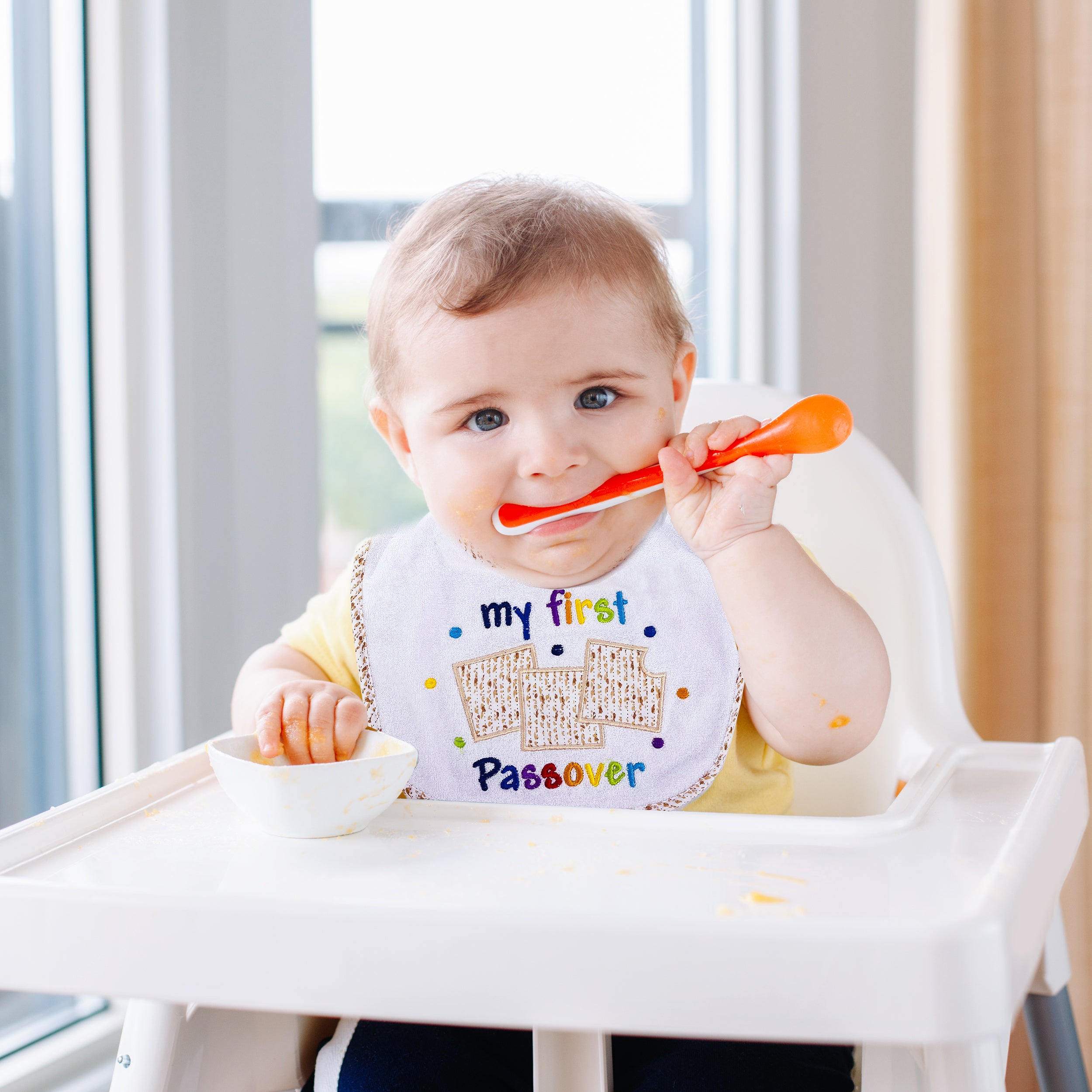 "My First Passover" Bib