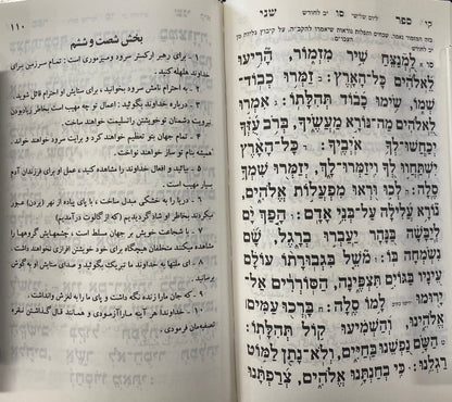 Persian Tehillim - side by side