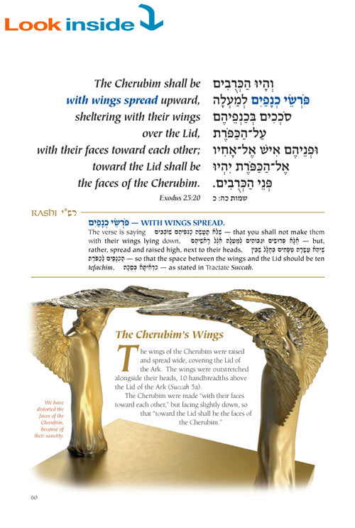 Mishkan Tabernacle: It's Structure, It's Sacred Vessels and the Kohen's Garments - English Edition