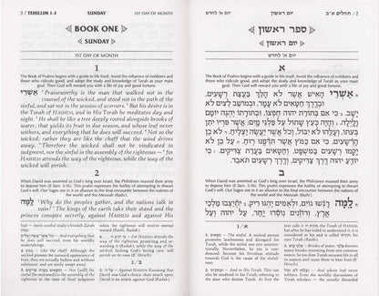 Tehillim / Psalms - 1 Vol - Full Size Yerushalayim Two-Tone Leather