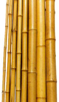 Bamboo  poles 12 ft. long x 1-1/4 in.   (Package of 25)  - Mitzvahland.com All your Judaica Needs!